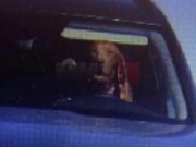 Во Словачка, куче фатено зад волан во „шкода“, сопственикот казнет