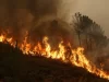 Пожар во близина на Парк шумата Гази Баба