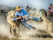Која е најатрактивната машка активност според жените?