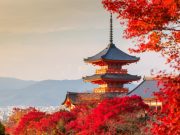 Над 3 милиони туристи за еден месец – земјата која постави рекорд