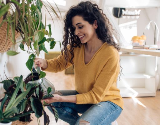 5 растенија кои го штитат домот од мувла