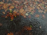Oблачно, кон крајот на денот дожд и снег