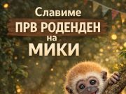 Гибончето Мики кое беше отфрлено од мајката слави една година