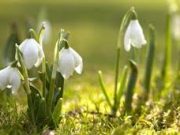Сончево и топло, наутро – 4 степени, преку ден до 21