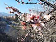 Нестабилно пролетно време низ Македонија