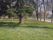 Најстудено во Берово -3 степени, преку ден до 17 степени и можен слаб дожд