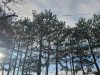 Сончево и ветровито време