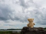 Сексуална злоупотреба на деца, 604 детства што системот не ги слушна