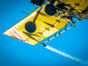Во четврток прскање против комарци во Скопје