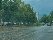 (ВИДЕО) Скопје ги брои штетите од невремето, над 1000 повици