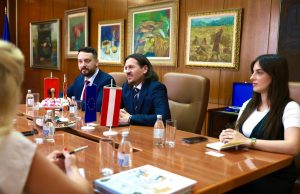 Министерот за култура со албанско знаме на маса го пречека австрискиот амбасадор
