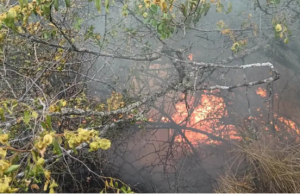 Гром предизвика пожар кај село Макреш, изгореа околу 15 хектари