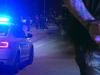 Лишени од слобода 16 возачи за безобѕирно управување со возило – 10 под дејство на алкохол