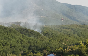 Пожарот во кавадаречко изгаснат по три дена борба со огнената стихија