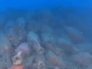 Кај Сицилија открени остатоци од римски бродолом со стотици амфори (ВИДЕО)