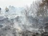 Големиот пожаро во Белгија и натаму беснее, се очекува да биде ставен под контрола „денеска, утре или в среда“