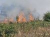 Пожар на површина со ниска вегетација во Момин Поток