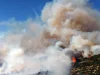 Екстремен ризик од пожари во Грција, Атика и Евија под тревога од категорија 5